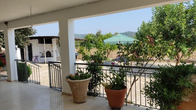 Mallios Country House Near Ancient Olympia Екстериор снимка