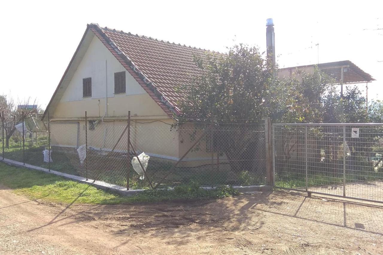Mallios Country House Near Ancient Olympia Екстериор снимка